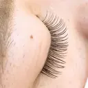 IVY staff ⭐︎のプロフィール画像