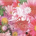 プライベートサロン マニフィークのプロフィール画像