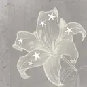 白石 璃奈のプロフィール画像