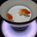 東京 アイリストスクールのプロフィール画像