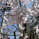 おばた ちひろのプロフィール画像