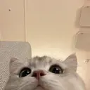 村澤 葵葉のプロフィール画像