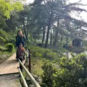 大村 凪のプロフィール画像