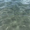 r'ooplus mayukaのプロフィール画像