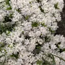 波多野 聖のプロフィール画像