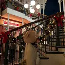 ᴇʏᴇʟɪꜱᴛ🦋 𝐊𝐀𝐓𝐎のプロフィール画像