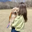 GREEN room 聖蹟桜ヶ丘のプロフィール画像