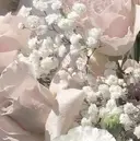 LUCULIA 三田のプロフィール画像