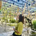 Miyuka｜束感 マツエク｜パーマ🫧のプロフィール画像