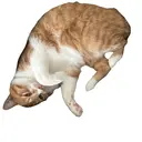 k nのプロフィール画像