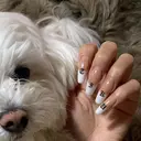 SAKURA 中島のプロフィール画像