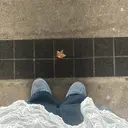 鎌倉 琉七のプロフィール画像