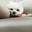 まつした あやののプロフィール画像