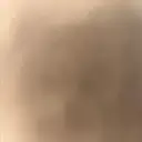 サトウ モモカのプロフィール画像