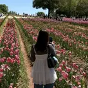 新宮 宝のプロフィール画像