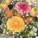 半藤 菜月のプロフィール画像