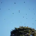 AB マツエクのプロフィール画像