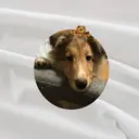 Sami 👑パラジェル取扱店のプロフィール画像