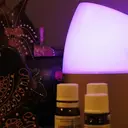 伊藤 あのプロフィール画像