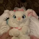 hana TOROSのプロフィール画像