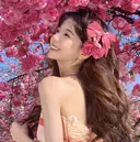 APEX BEAUTYのプロフィール画像