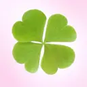 haruka🍀／ リッカドンナ天王寺店のプロフィール画像