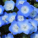 伊多波 由香のプロフィール画像