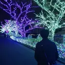 小甲 匡哉のプロフィール画像