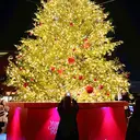 スガワラ マキのプロフィール画像