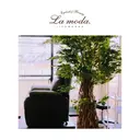 La moda. 二子玉川店のプロフィール画像