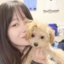 shibata mahoのプロフィール画像