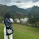 angelica hariiのプロフィール画像