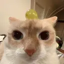 みき YKのプロフィール画像