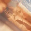 aimer𓂃𓂂 YUNAのプロフィール画像