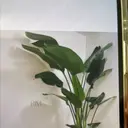 RIM　total beautyのプロフィール画像