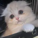 エサージュ　渋谷店 Wakana💖のプロフィール画像