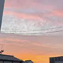 吉田 琉夏のプロフィール画像