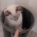 三浦 優のプロフィール画像