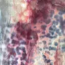 Watanabe Yuyaのプロフィール画像