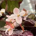 KI NAのプロフィール画像