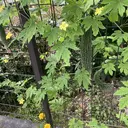 成瀬 一生のプロフィール画像