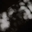 miya/学芸大学 /nuance🪑のプロフィール画像