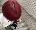 fizelle はるとのプロフィール画像