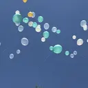 Sakata Haruのプロフィール画像