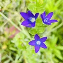 天野 花子のプロフィール画像