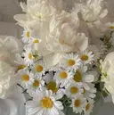 中水流 虹々美のプロフィール画像