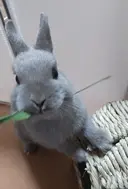 She byM☺️ MIHO☺️のプロフィール画像