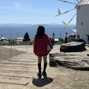 Bunnyeyes 宮西のプロフィール画像