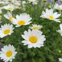 TOMIKI 天テラス水前寺店のプロフィール画像