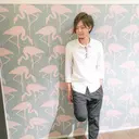 成澤 大輝のプロフィール画像